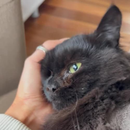 Esmeralda