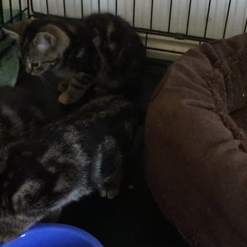 Trink, Bink and Dink (video available)