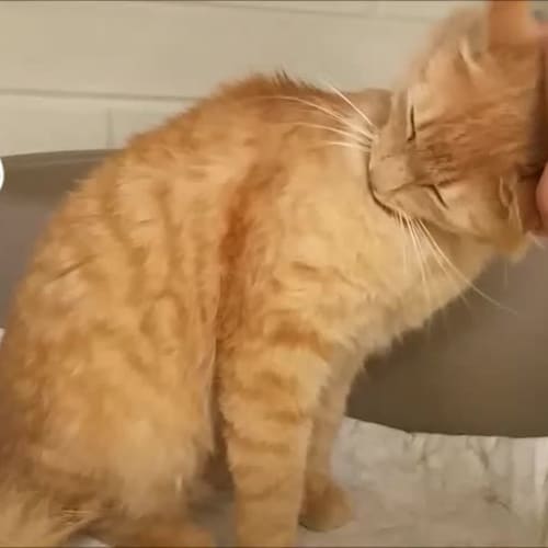 Joe (4978) & Ricky (4979)