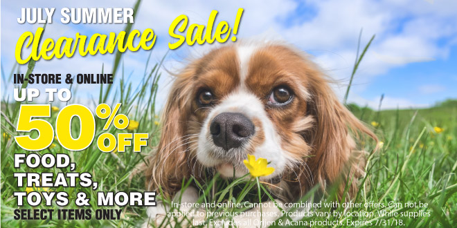 Summer Clearance Sale
