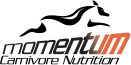 Momentum