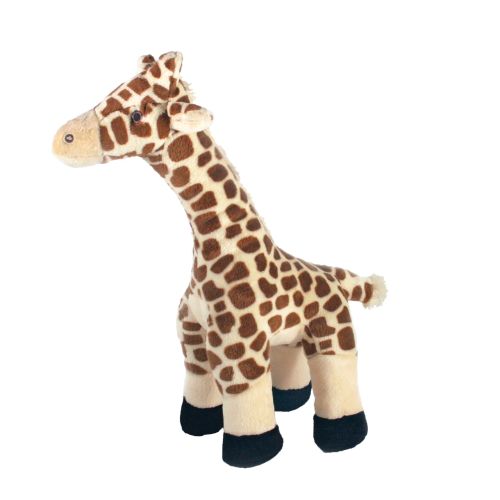Natural Dog And Cat Food Treats Toys Free Shipping At