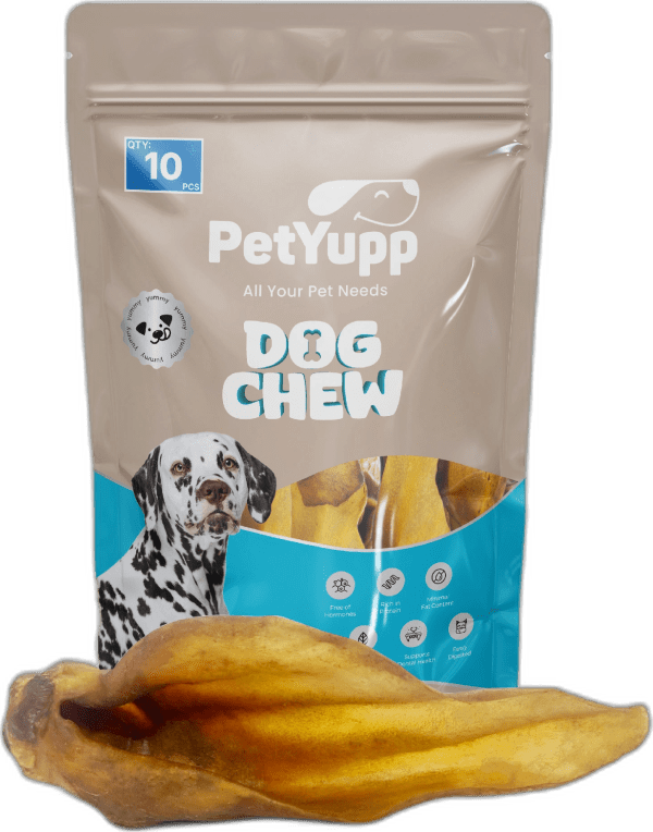 100% Natural Water Buffalo Ear with Meat Dog Chew - Pack of 10