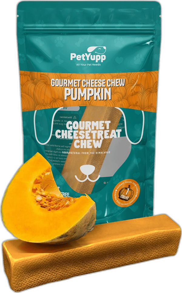 Himalayan Gourmet Cheese Chew - Pumpkin Flavor - Pack of 1 Chew