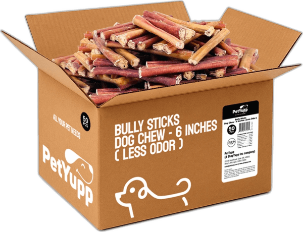Plain Bully Sticks - 50 Count, 6 Inch