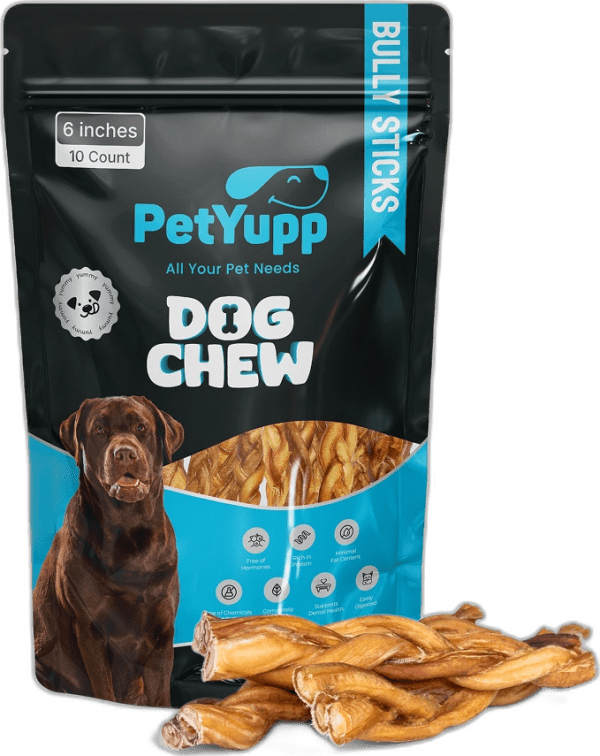 Braided Bully Sticks - Pack of 10, 6 Inch