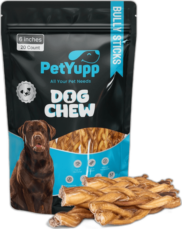 Braided Bully Sticks - Pack of 20, 6 Inch