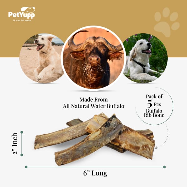 100% Natural Water Buffalo Rib Bone with Meat Dog Chew - Pack of 5 details