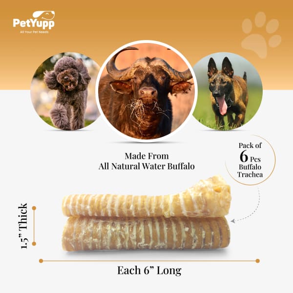 100% Natural Water Buffalo Trachea Dog Chew - Pack of 6, 6 inch details