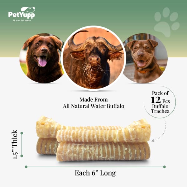 100% Natural Water Buffalo Trachea Dog Chew - Pack of 12, 6 inch details