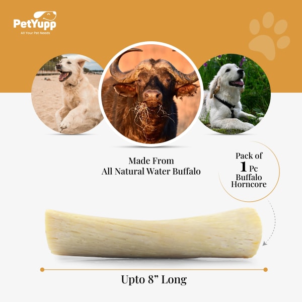 100% Natural Water Buffalo Horncore Dog Chews - Pack of 1 details