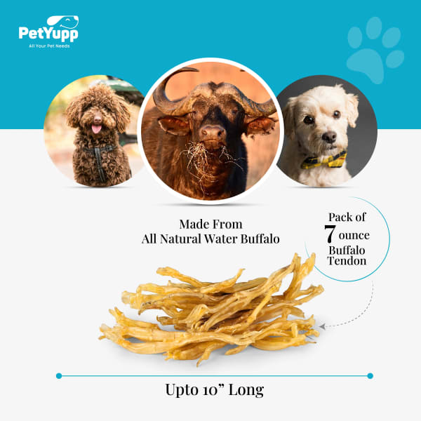 100% Natural Water Buffalo Tendon Dog Chews - Pack of 7oz details