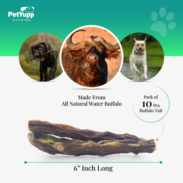 100% Natural Water Buffalo Tail Dog Chew - Pack of 10 details