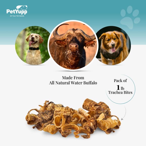 100% Natural Water Buffalo Trachea Bites Dog Treats - Pack of 1 lb details