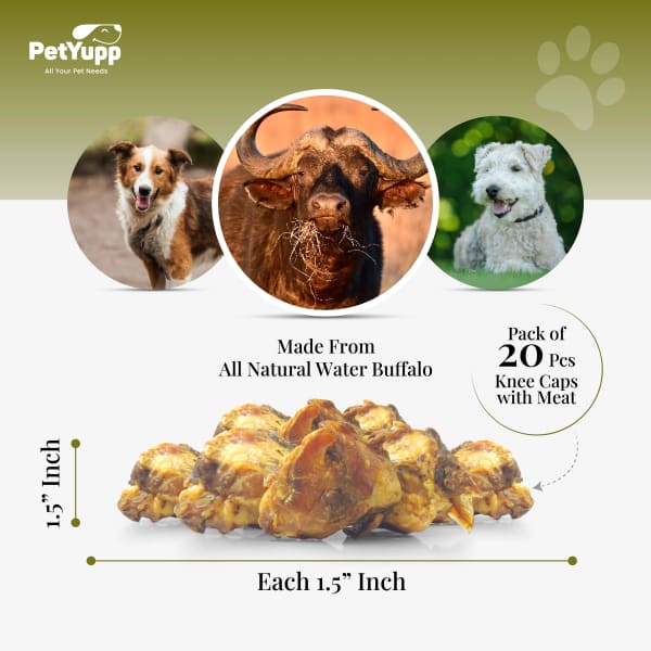 100% Natural Water Buffalo Knee Caps with Meat Dog Treats - Pack of 20 details