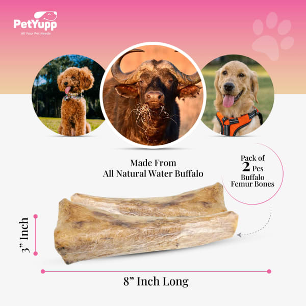 100% Natural Water Buffalo Femur Bones Dog Chew - Pack of 2 details