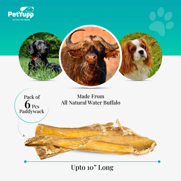 100% Natural Water Buffalo Paddywack Dog Chews - Pack of 6 details