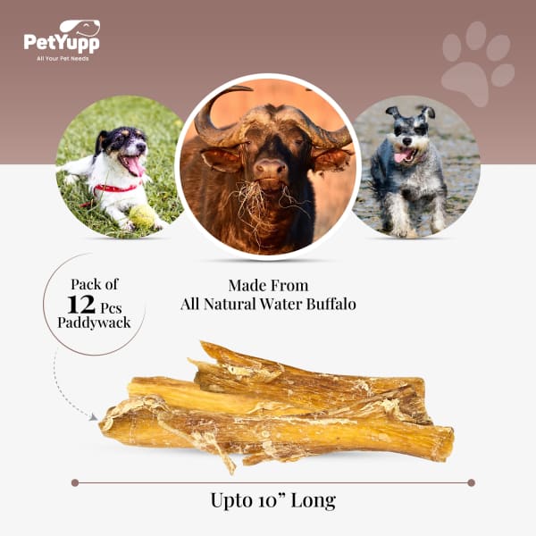 100% Natural Water Buffalo Paddywack Dog Chews - Pack of 12 details