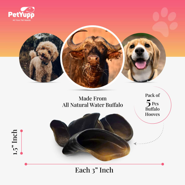 100% Natural Water Buffalo Hooves Dog Chew - Pack of 5 details