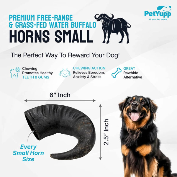 Water Buffalo Horns Dog Chew - Pack of 4 - Small Size details