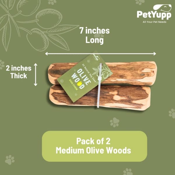 Natural Repurposed Olive Woods Dog Chew - Medium details