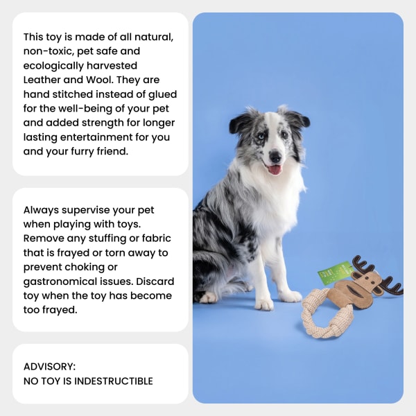 Cotton & Jute Toss-Tug Dog Toy with Genuine Leather - Moose details
