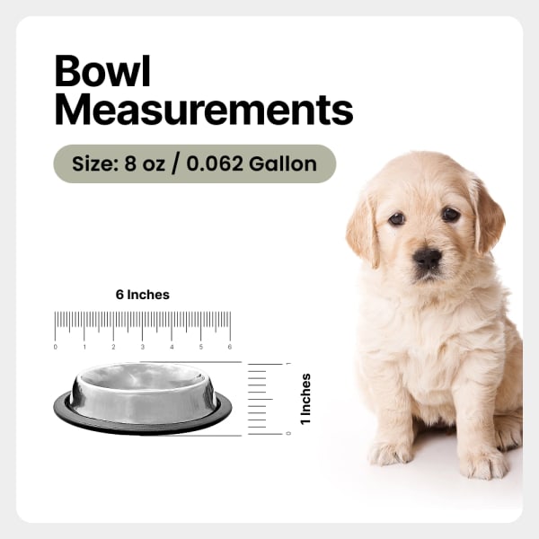 Traditional Shape Non-Skid Stainless Steel Dog Feeding Bowl - All Sizes details