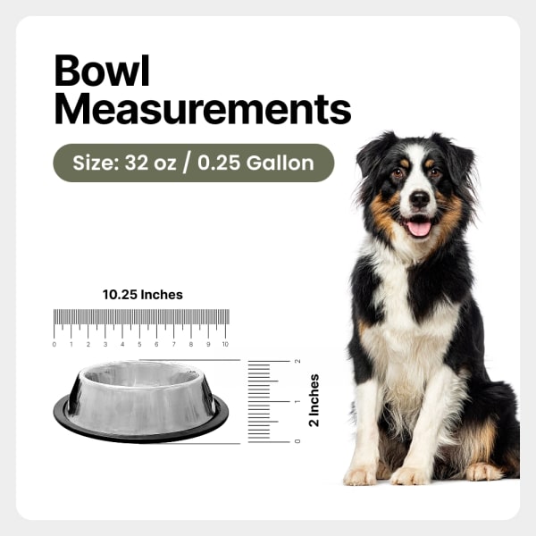 Traditional Shape Non-Skid Stainless Steel Dog Feeding Bowl - 32 Oz details