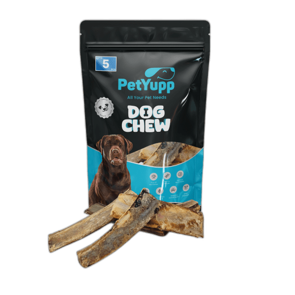 100% Natural Water Buffalo Rib Bone with Meat Dog Chew - Pack of 5