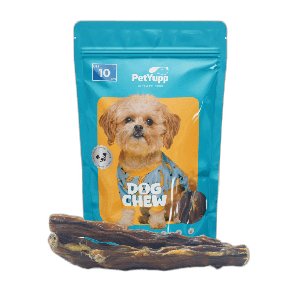 100% Natural Water Buffalo Tail Dog Chew - Pack of 10