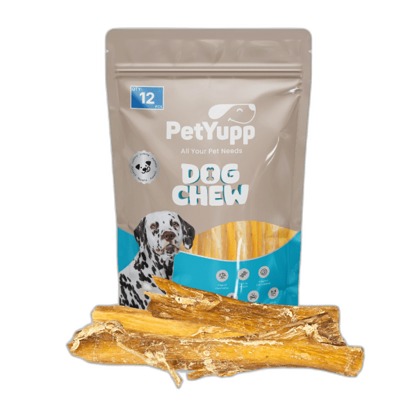 100% Natural Water Buffalo Paddywack Dog Chews - Pack of 12