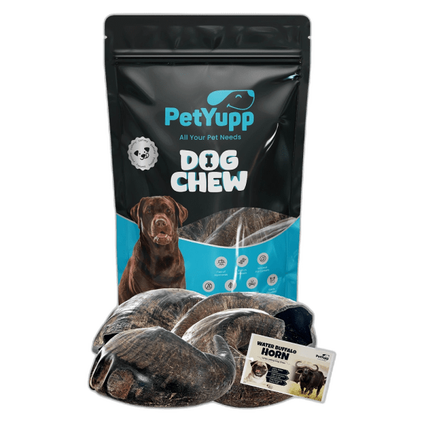 Water Buffalo Horns Dog Chew - Pack of 4 - Small Size