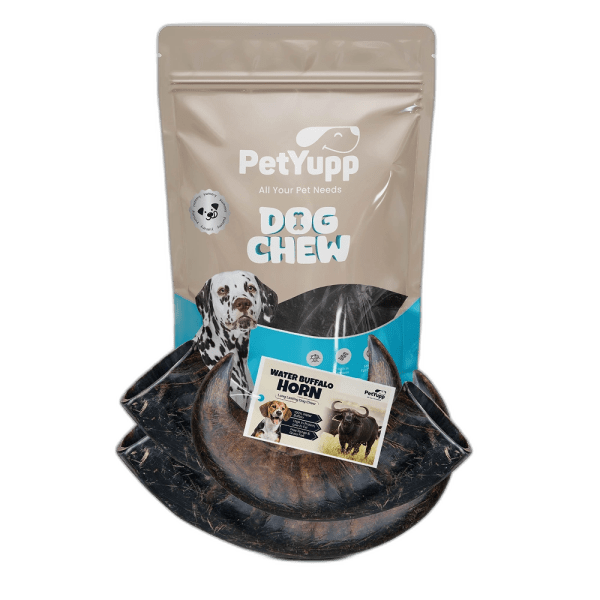 Water Buffalo Horns Dog Chew - Pack of 3 - Medium Size