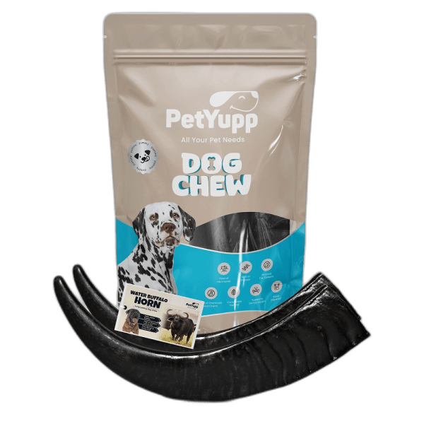 Water Buffalo Horns Dog Chew - Pack of 2 - Large Size