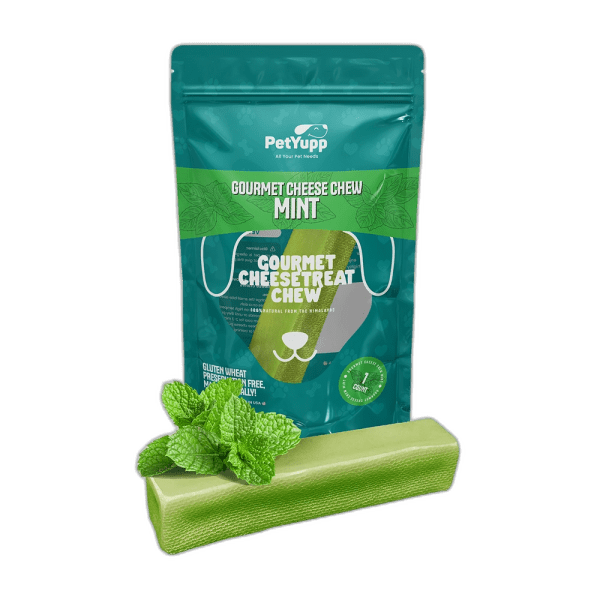 Himalayan Gourmet Cheese Chew - Mint Flavor - Pack of 1 Chew