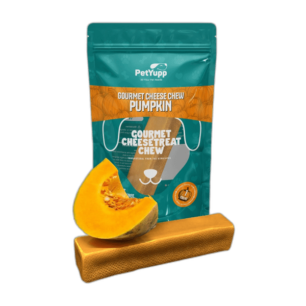 Himalayan Gourmet Cheese Chew - Pumpkin Flavor - Pack of 1 Chew