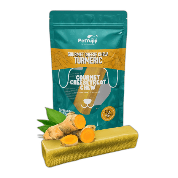 Himalayan Gourmet Cheese Chew - Turmeric Flavor  - Pack of 1 Chew