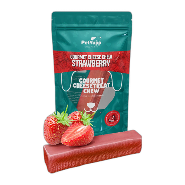 Himalayan Gourmet Cheese Chew - Strawberry Flavor - Pack of 1 Chew