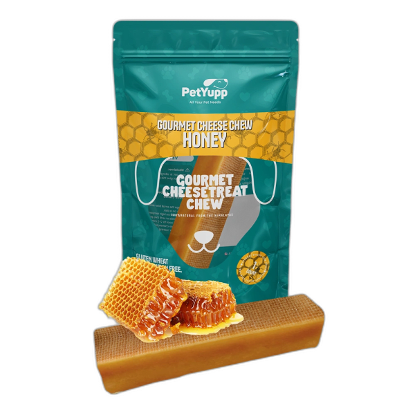 Himalayan Gourmet Cheese Chew - Honey Flavor - Pack of 1 Chew