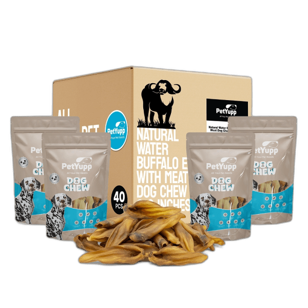Dog Bulk Treats - 100% Natural Water Buffalo Ear with Meat Dog Chew - Pack of 40 pcs