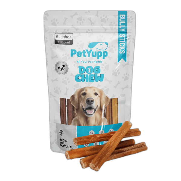 Plain Bully Sticks - Pack of 10, 6 Inch