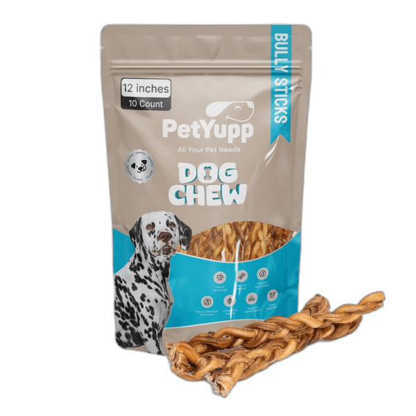 Braided Bully Sticks - Pack of 10, 12 Inch