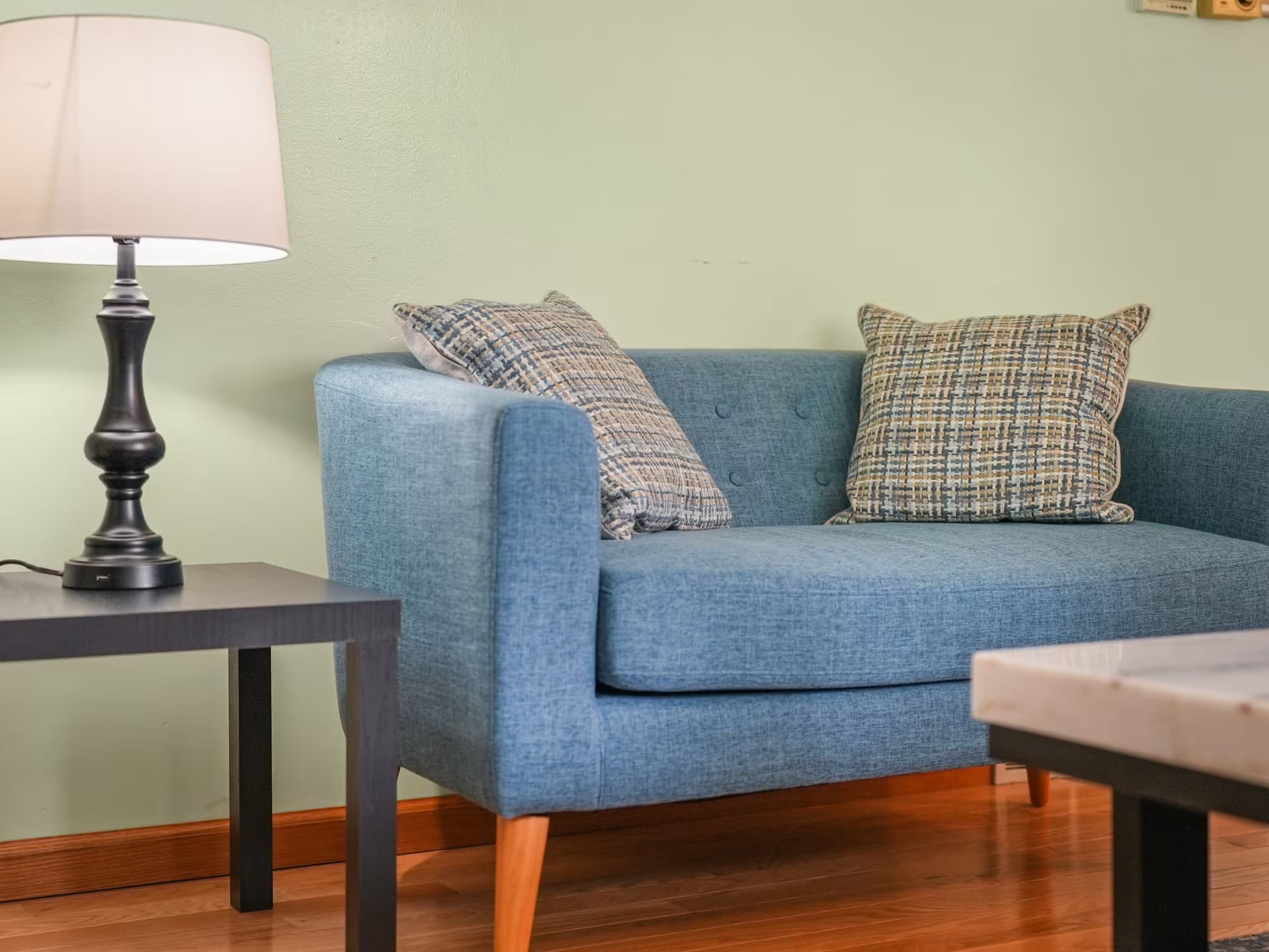 Lakefront Paradise Vacation Home Rental sofa