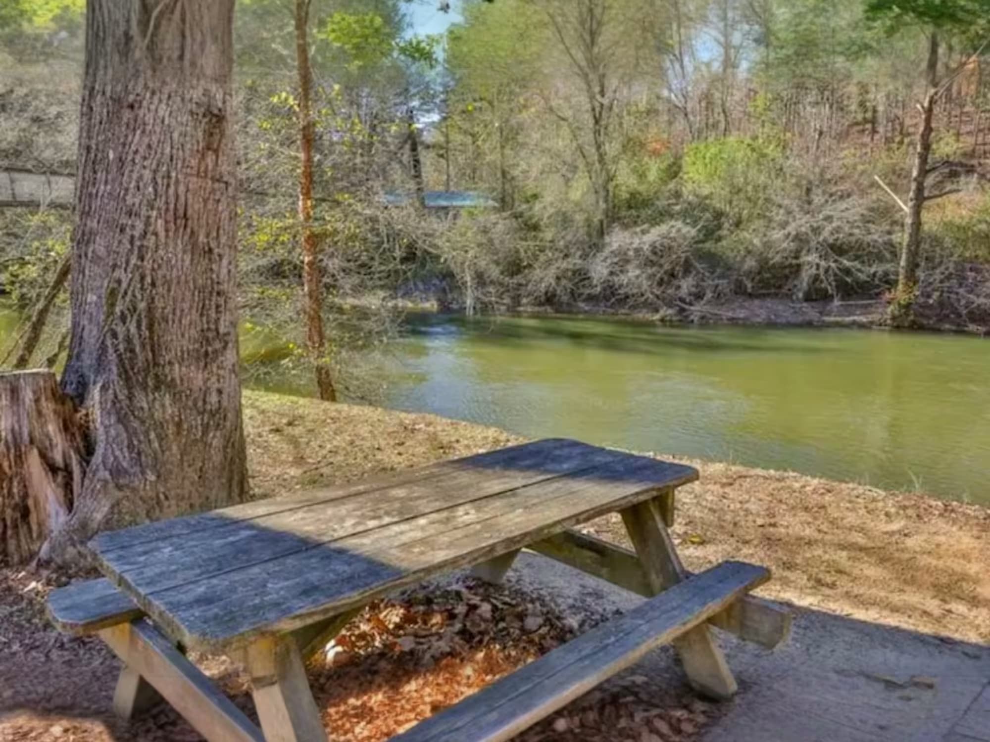 North Georgia Vacation Home Rental Majestic Mountain Manor in Ellijay