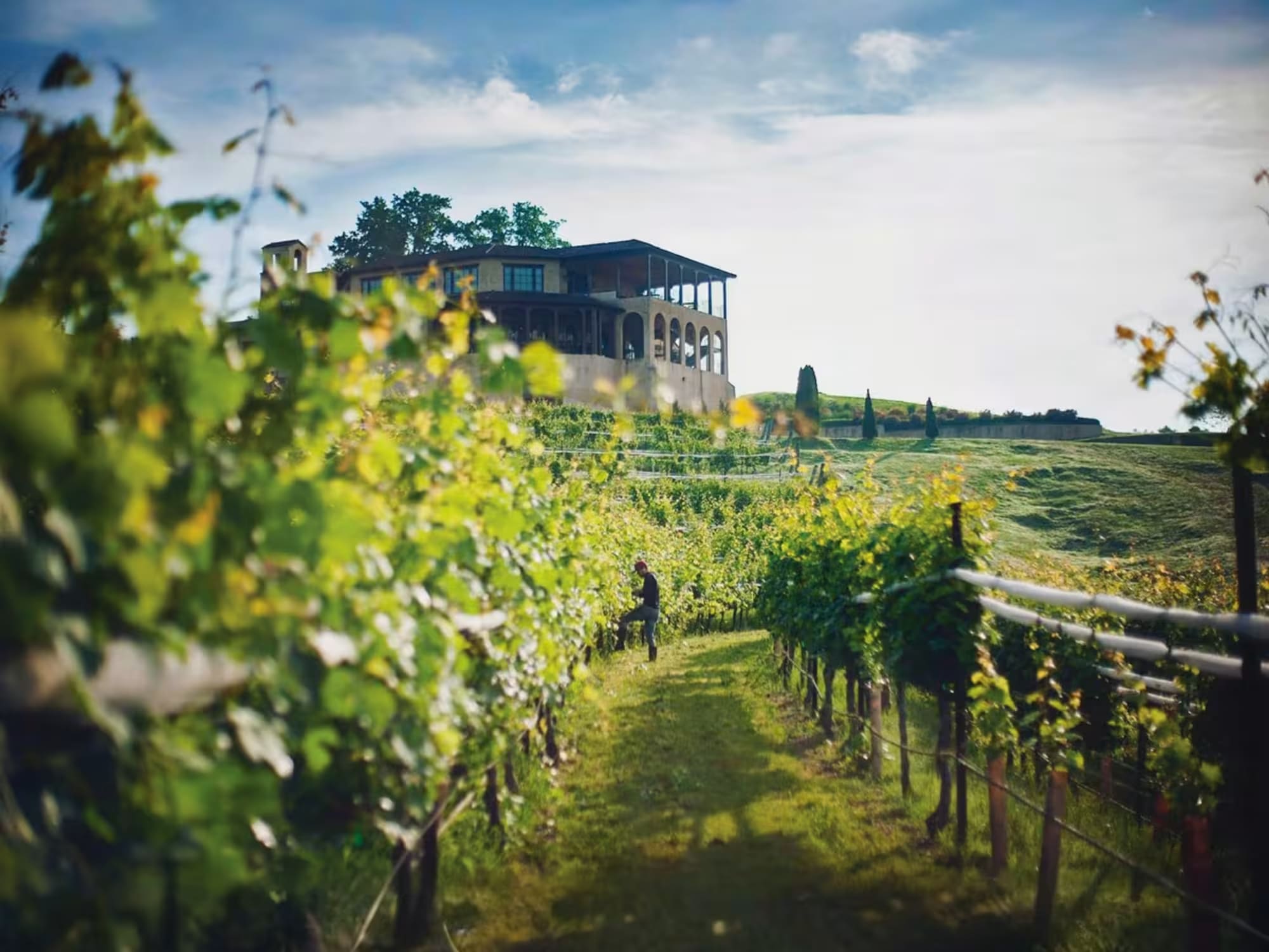 Vacation Home Rental in Ellijay North Georgia Majestic Mountain Manor Nearby North georgia_s_wine_country