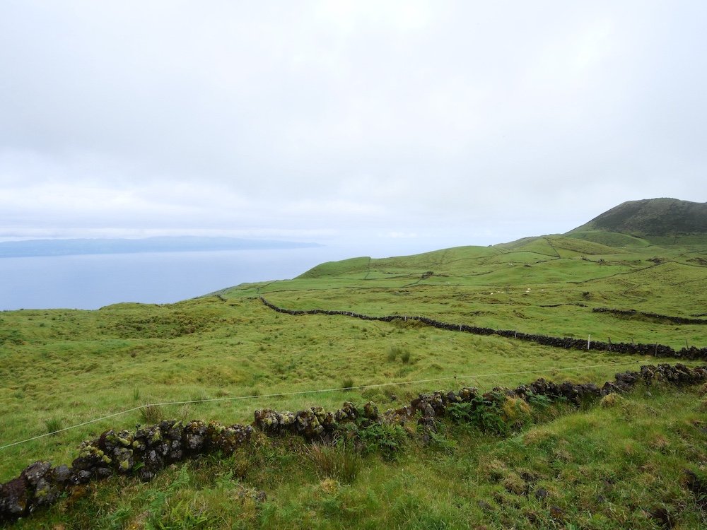 亞速群島 Azores - 7 天登山追鯨,山海之間的深藍假期