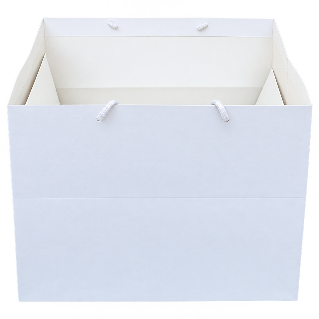 PAPER BAGS WITH HANDLE 38X28X28․5