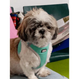 Profilbild von Zerrin Cengiz-Kopanski