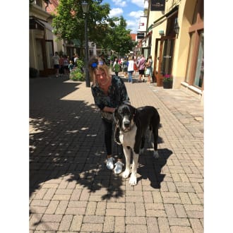 Profilbild