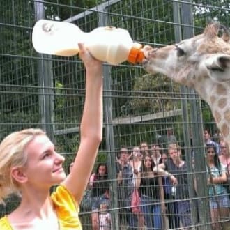 Profilbild